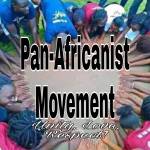 Pan Africanist Movement Profile Picture