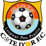 Côte d'or fc Profile Picture