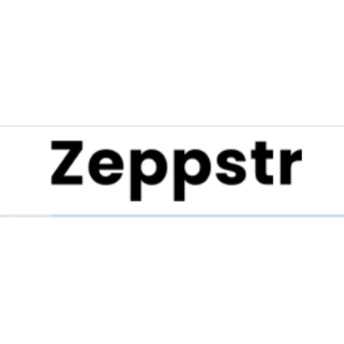 Zeppstr Profile Picture