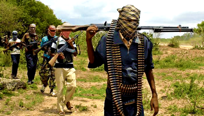 Fulani Terrorists Attack Community in Kagarko LGA of Kaduna State, 2 Injured - ioiNEWS.org