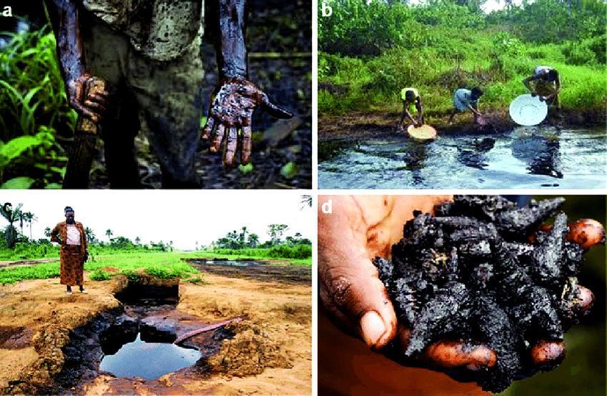 Niger Delta Eco-Destruction by Foreign Companies, Underground Water Contaminated, Poisoned - ioiNEWS.org