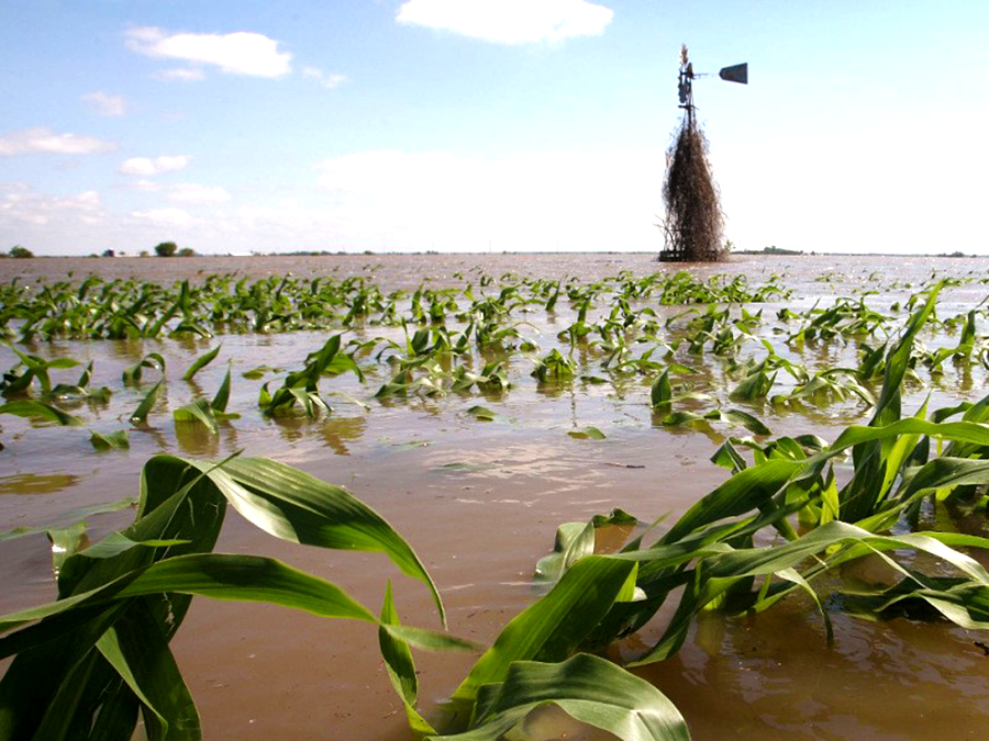 Nigeria's Annual Flood Crisis: Over 7000 Displaced and Vast Farmlands Ravaged in 2023, Says Government - ioiNEWS.org