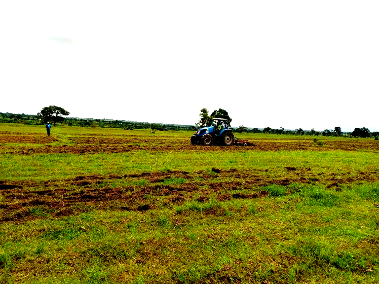 Governor Mutfwang Spearheads Agricultural Renewal in Crisis-hit Plateau State - ioiNEWS.org