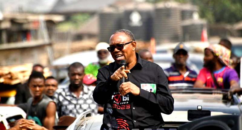 Abia State: Peter Obi Decries Grisly Find in Lokpanta Cattle Market, Demands Investigation, Improved Security - ioiNEWS.org