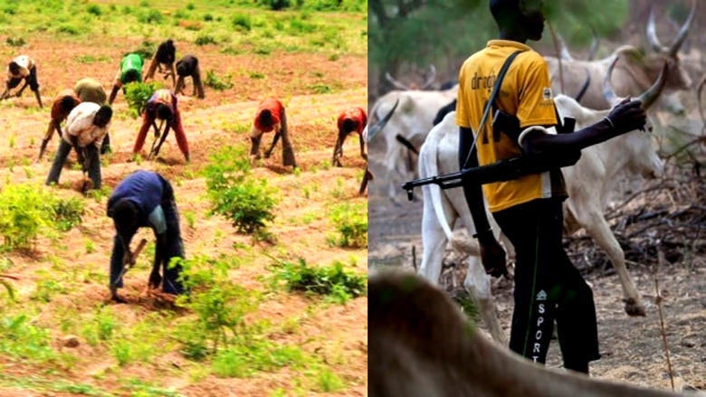 Kebbi State: Fulani Herders Kill 2 Farmers, Injure 8 as Cattles Destroy Farmlands - ioiNEWS.org