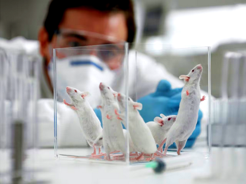 Chinese Scientists Create Apocalyptic Covid Variant in Terrifying Mice Experiments! - ioiNEWS.org