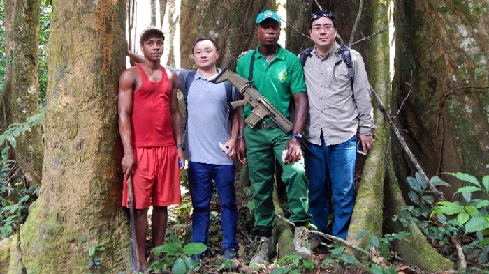 Chinese Loggers Inflicting Catastrophic Damage on Nigerian, African Forests - ioiNEWS.org