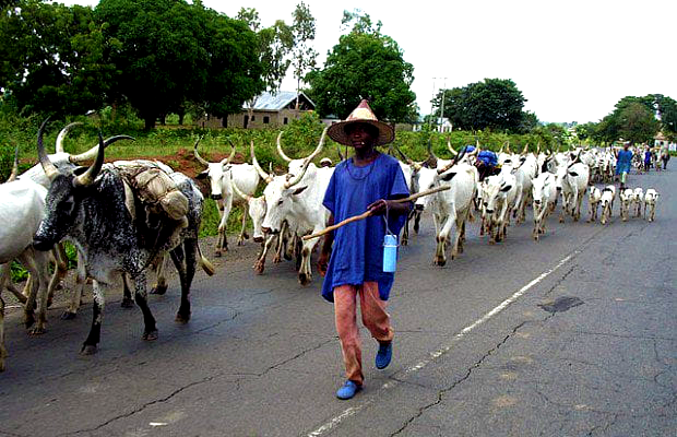 Ondo State: Security Crisis Deepens as Residents Flee Invading Fulani Herders Terrorism - ioiNEWS.org