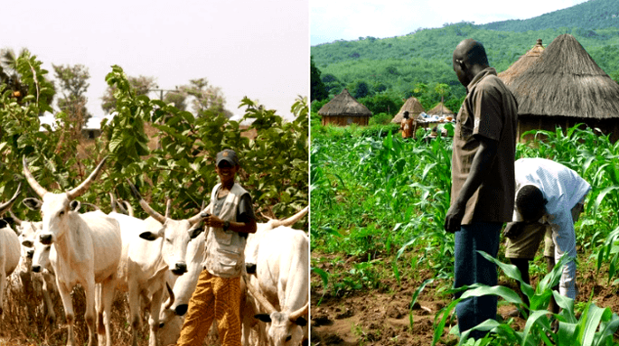 Traumatized Bayelsa Women Protest Fulani Herders Invasion, Destruction of Farmlands - ioiNEWS.org