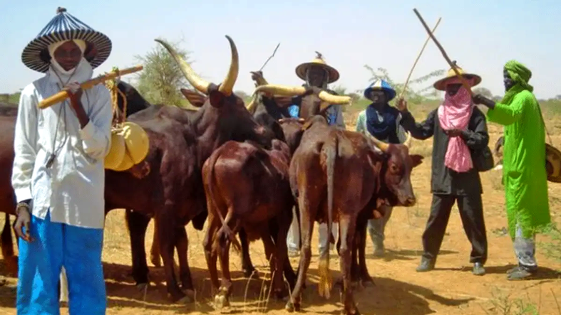 IPOB Opposes Alleged Fulani Settlement Agendas Disguised as Cattle Ranching, Warns Eastern Governors - ioiNEWS.org