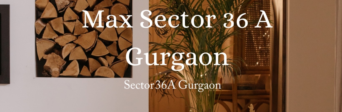 maxsector36a gurgaon Cover Image