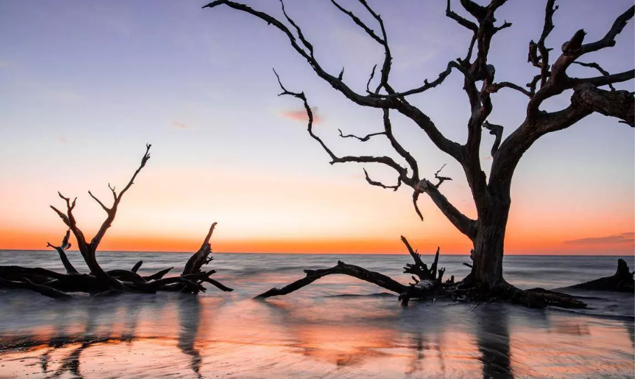 Book Your Dream Stay on Jekyll Island, GA with Airbnb Options from Minzifa Travel